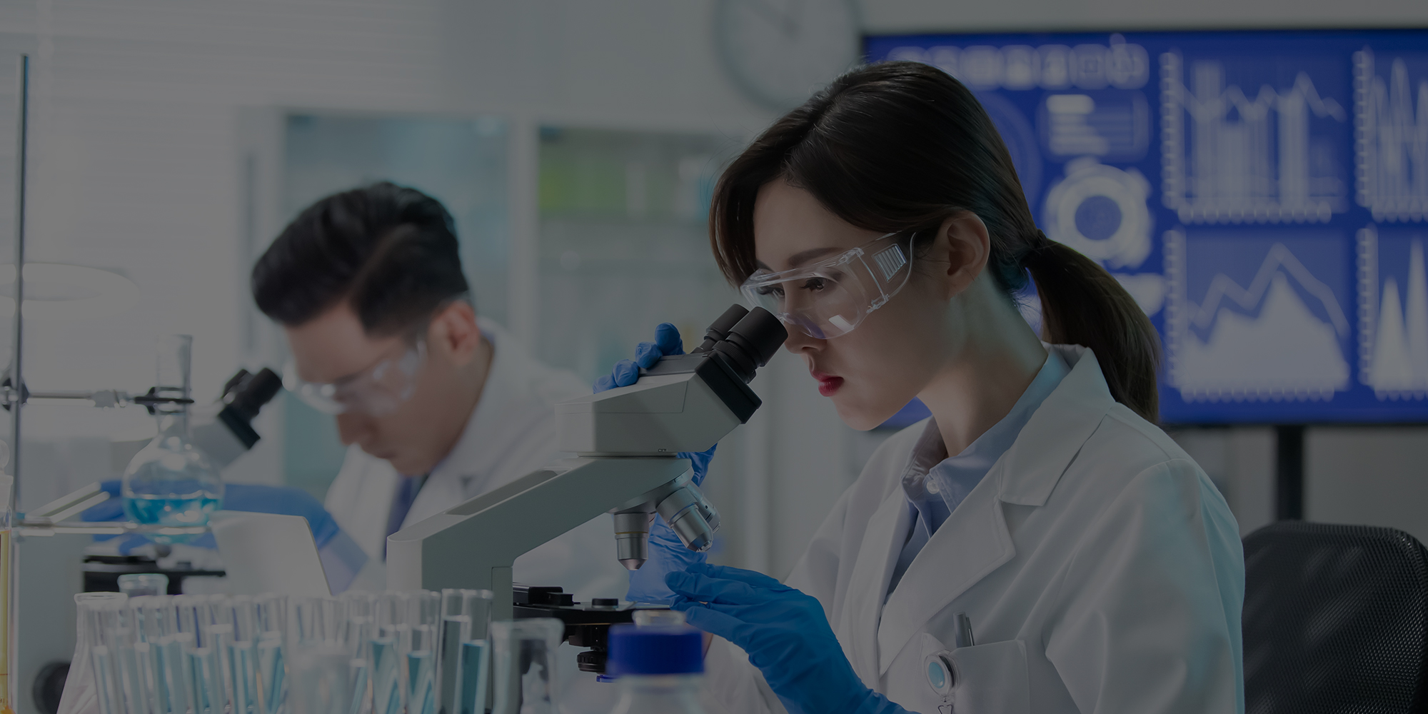 비주얼 2